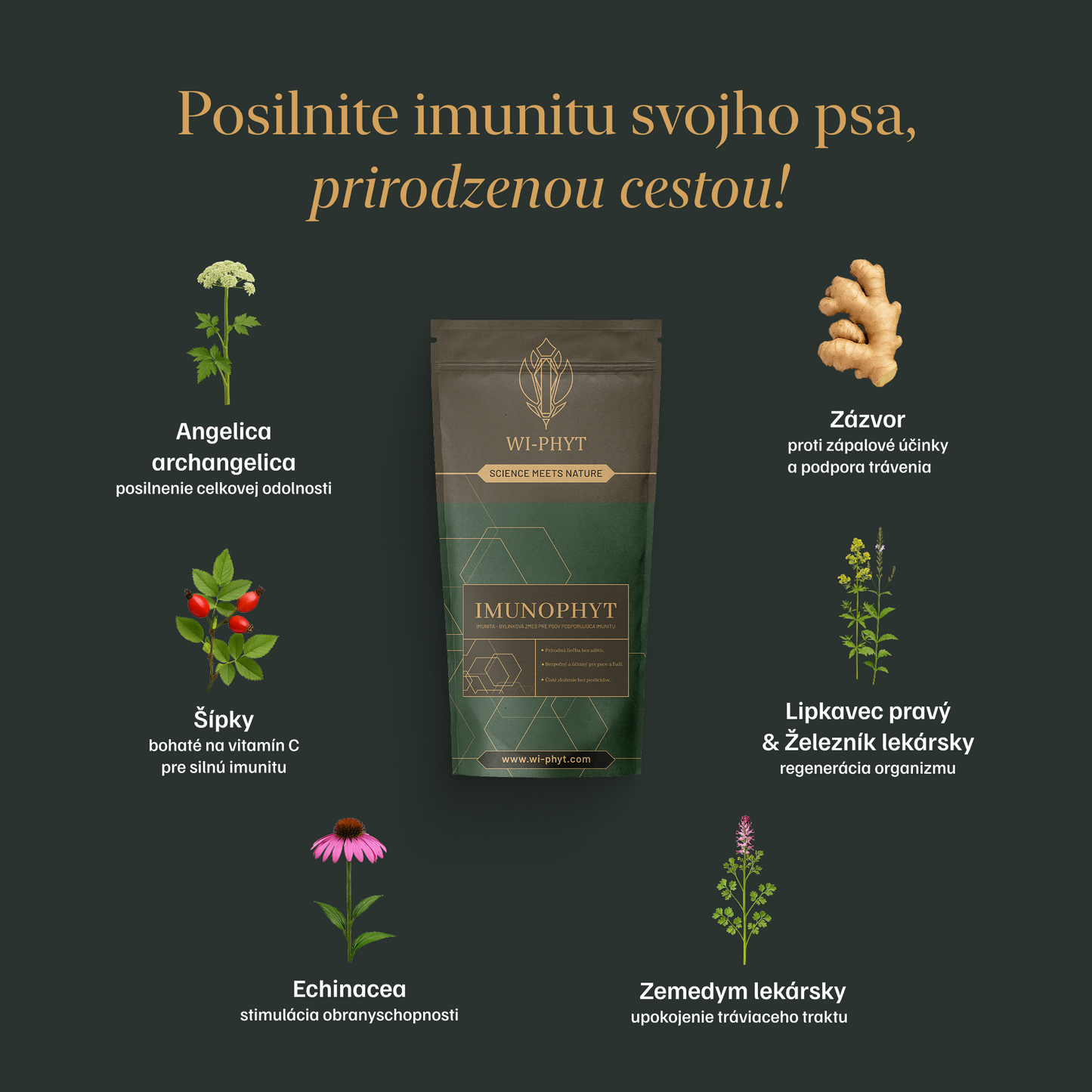 IMMUNOPHYT - bylinková zmes pre psov na zvýšenie imunity